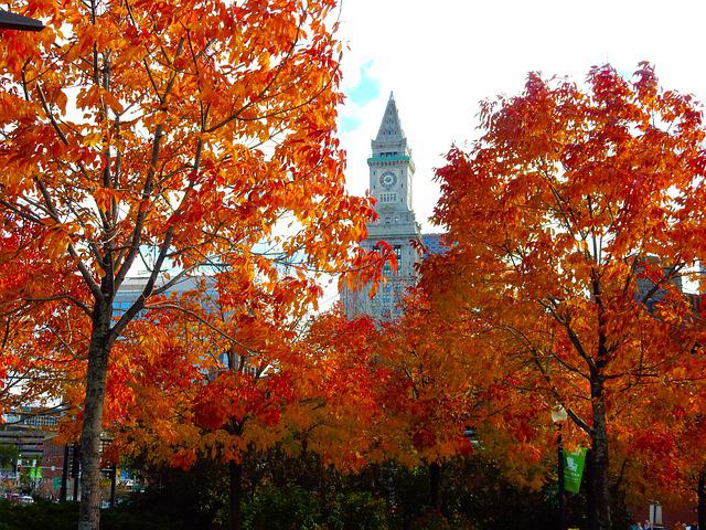 秋のボストン